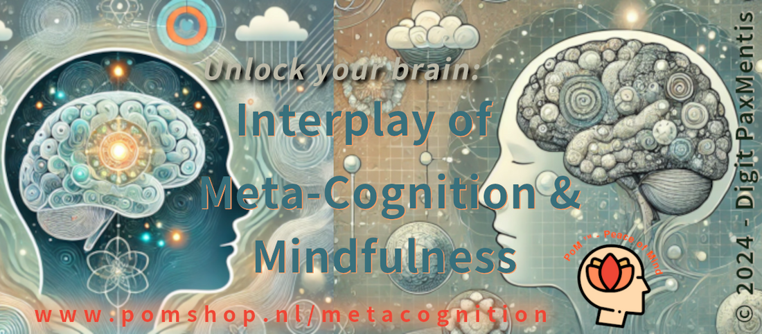 Insights: Metacognitive Model of Mindfulness