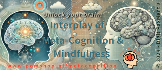 Insights: Metacognitive Model of Mindfulness