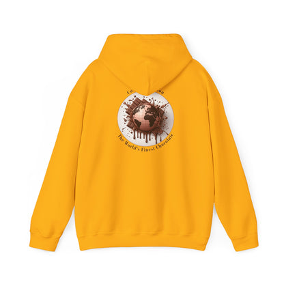 PoM's Fun & Joy for a Happy Life Collection ... COSMIC CREATION - Unisex Heavy Blend™ Hooded Sweatshirt (100% etchically grown cotton, 8 sizes, up to 13 colors)